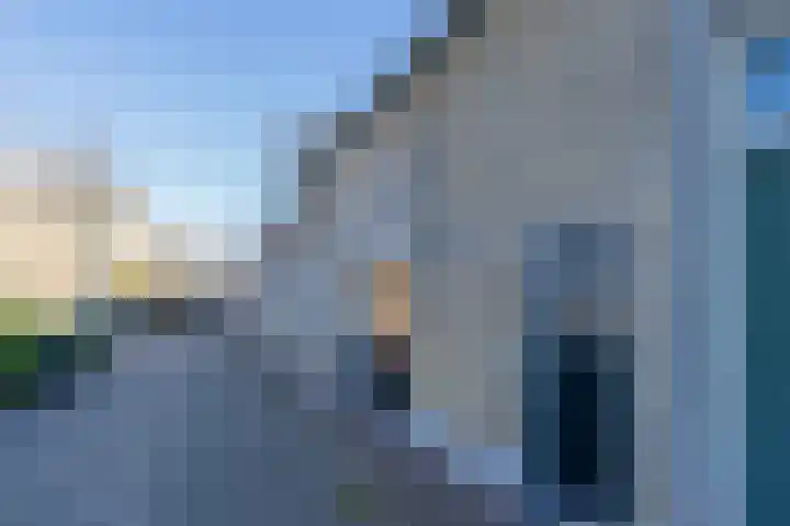 Zuiddijk 3 Oude-Tonge thumbnail 40
