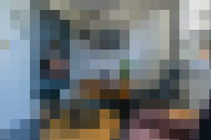 Zuiddijk 3 Oude-Tonge thumbnail 7