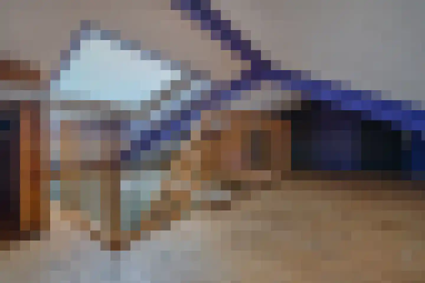 Zuiddijk 321 Zaandam thumbnail 25