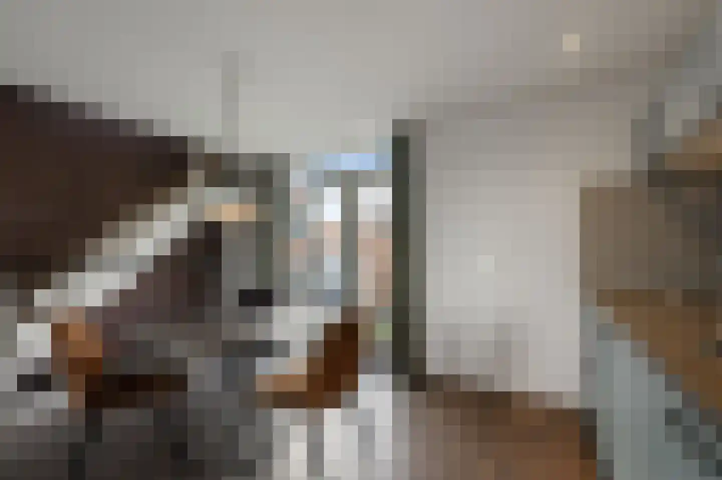 Zuiddijk 324 Zaandam thumbnail 9