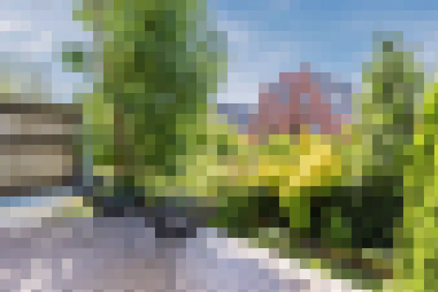 Zuiddijk 336 Zaandam thumbnail 16