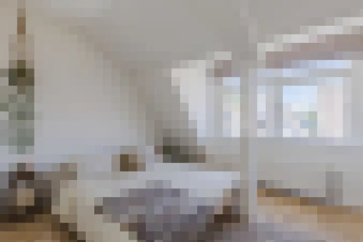 Zuiddijk 336 Zaandam thumbnail 28