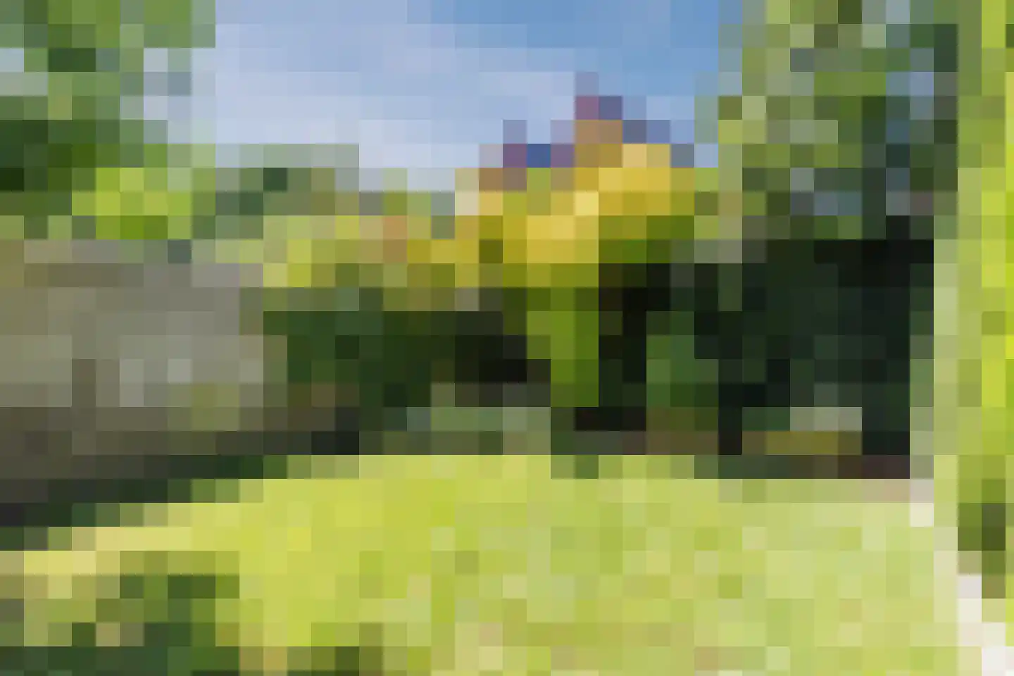 Zuiddijk 336 Zaandam thumbnail 39