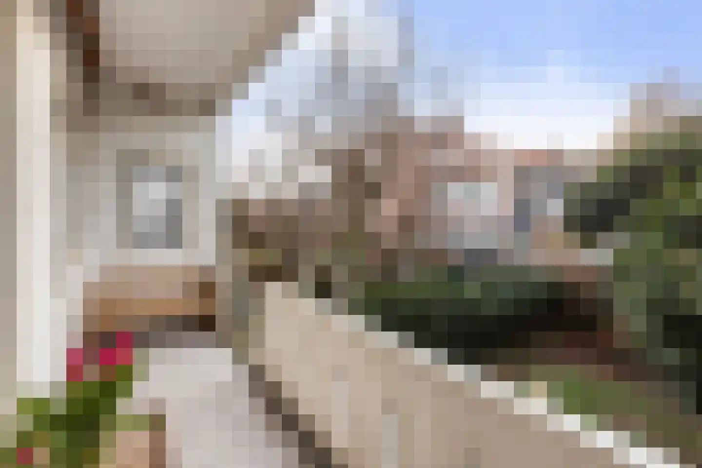 Zuiddijk 34 Maassluis thumbnail 28
