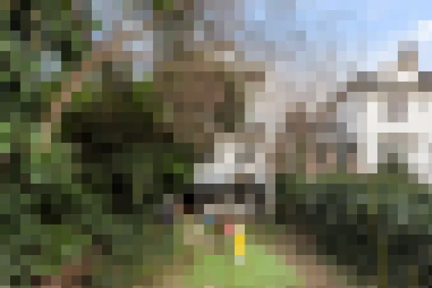 Zuiddijk 34 Maassluis thumbnail 4