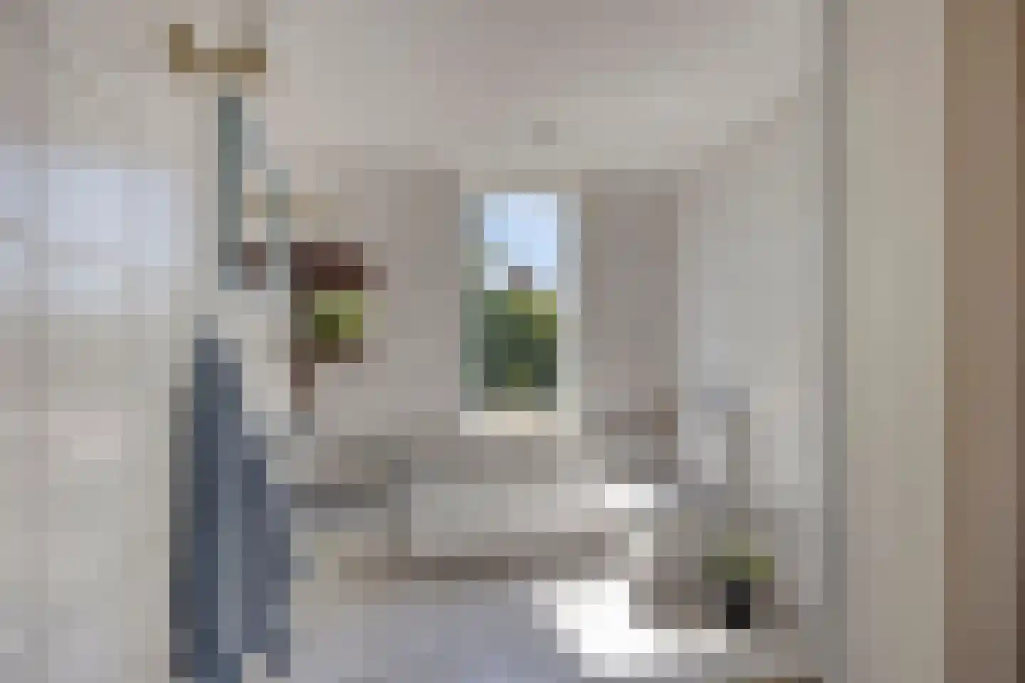 Zuiddijk 346 Zaandam thumbnail 13