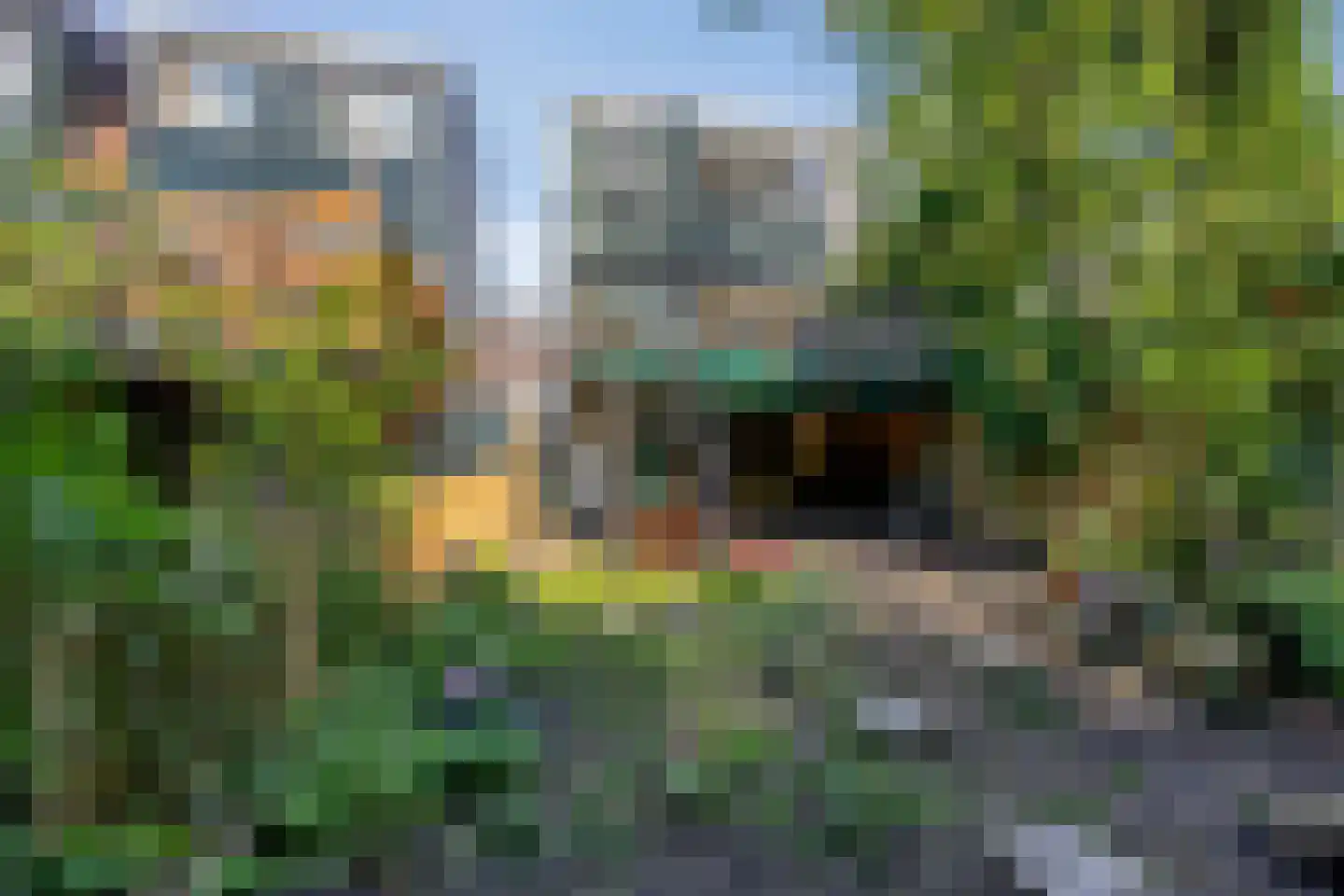 Zuiddijk 346 Zaandam thumbnail 23