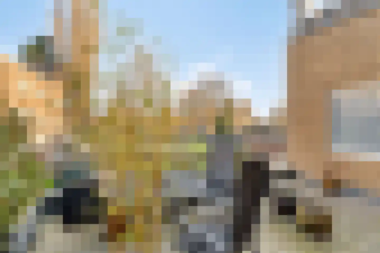 Zuiddijk 35 Zaandam thumbnail 4