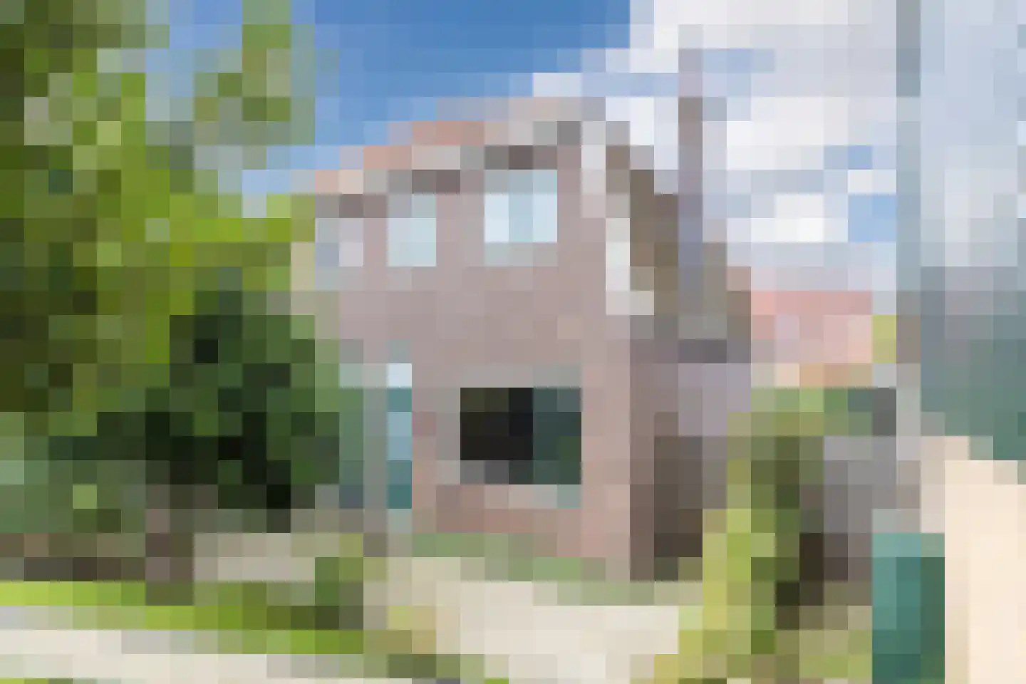 Zuiddijk 366 Zaandam foto 3
