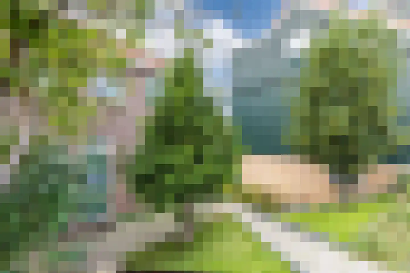 Zuiddijk 366 Zaandam thumbnail 4