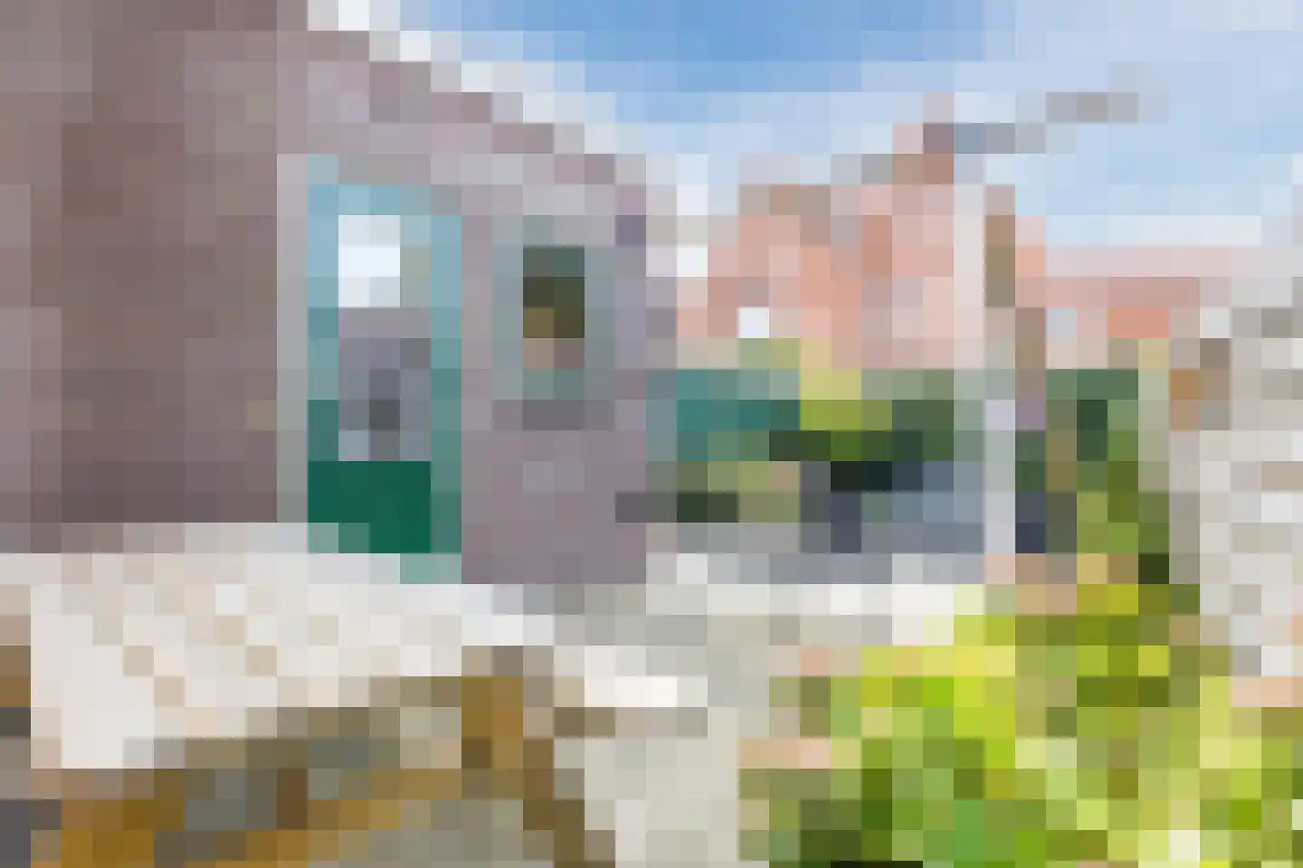 Zuiddijk 366 Zaandam thumbnail 42