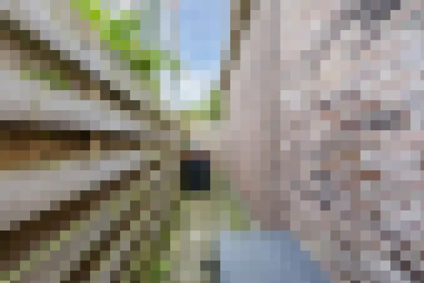 Zuiddijk 366 Zaandam thumbnail 44