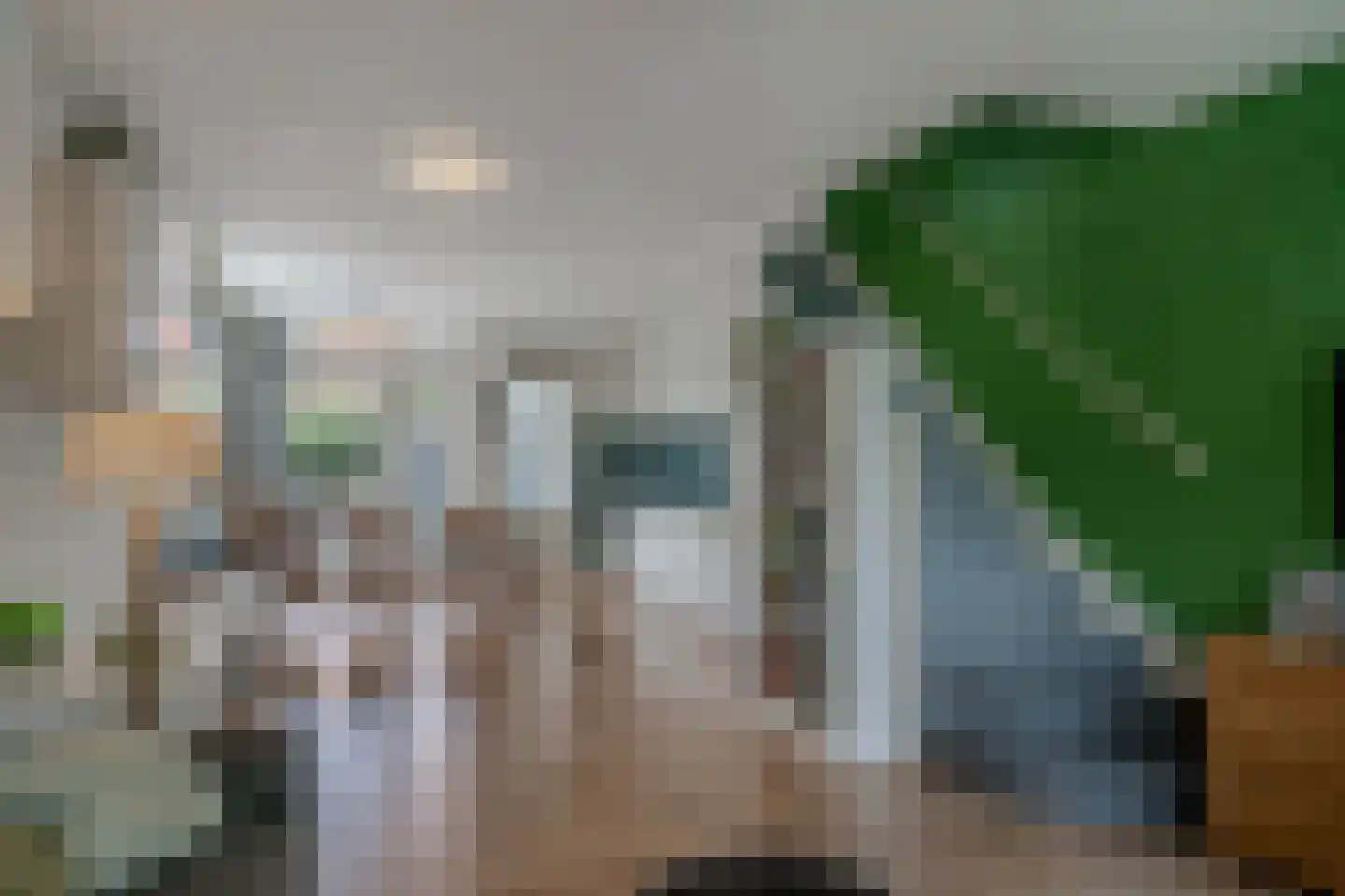 Zuiddijk 368 Zaandam thumbnail 4
