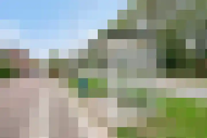 Zuiddijk 39 a Langeweg thumbnail 31