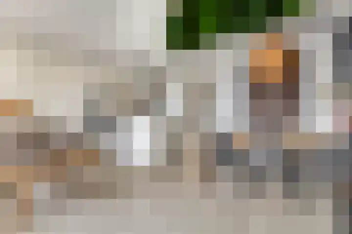 Zuiddijk 4 G Zaandam thumbnail 12