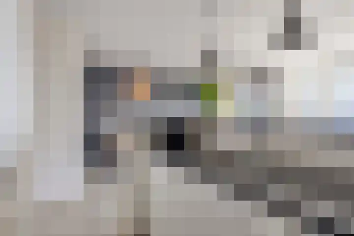 Zuiddijk 4 G Zaandam thumbnail 18