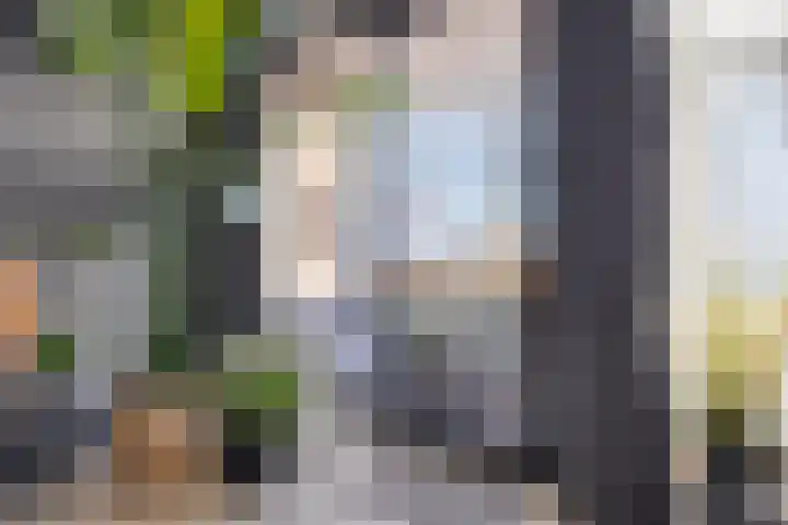 Zuiddijk 4 G Zaandam thumbnail 26