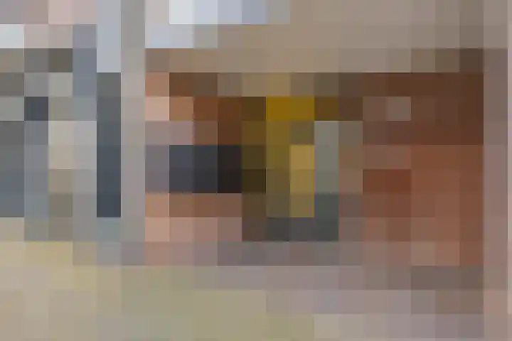 Zuiddijk 4 G Zaandam thumbnail 5