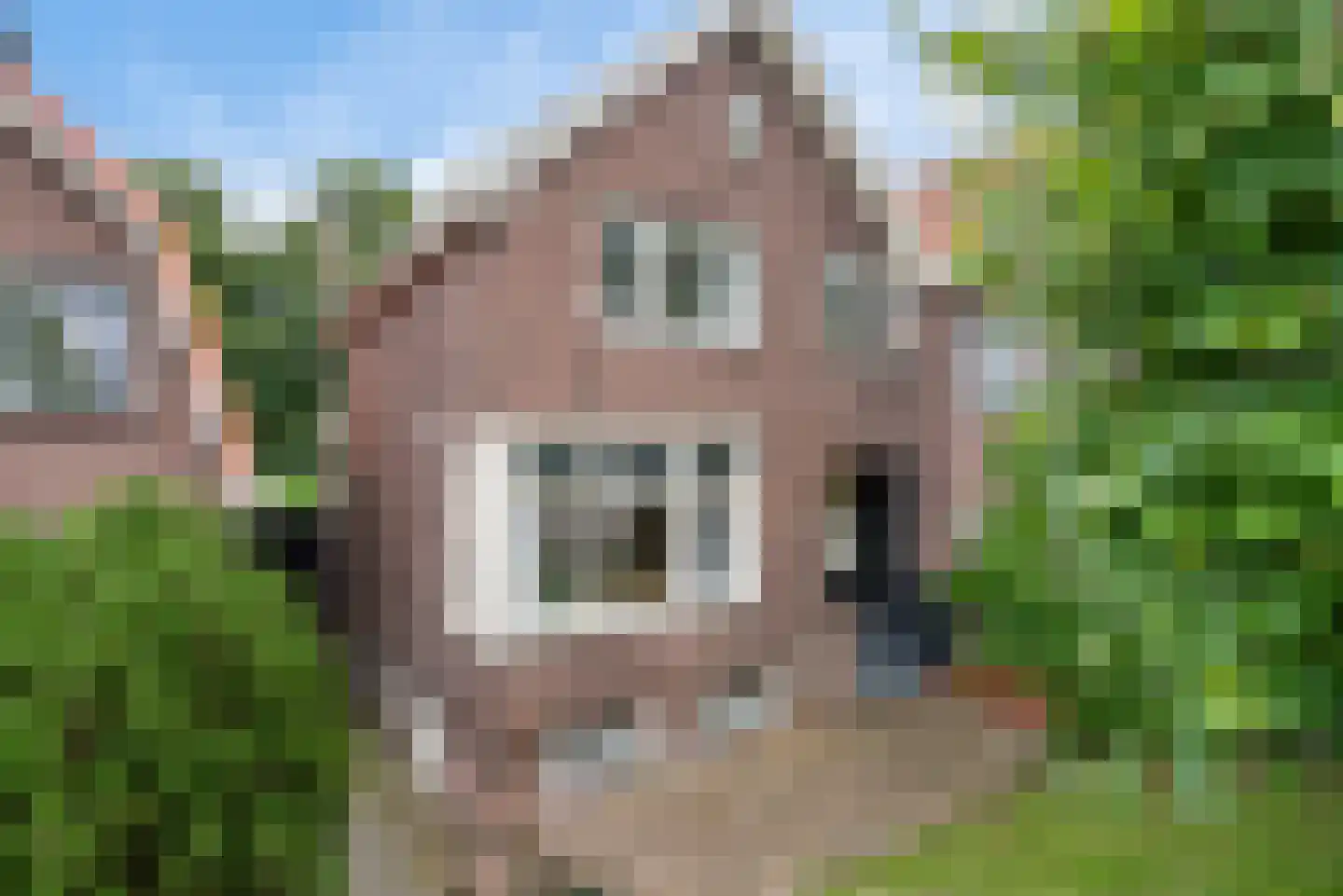 Zuiddijk 405 H Zaandam