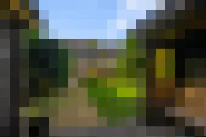 Zuiddijk 407 Zaandam thumbnail 33