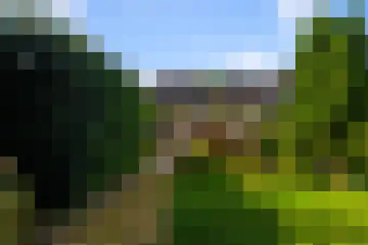 Zuiddijk 407 Zaandam thumbnail 4