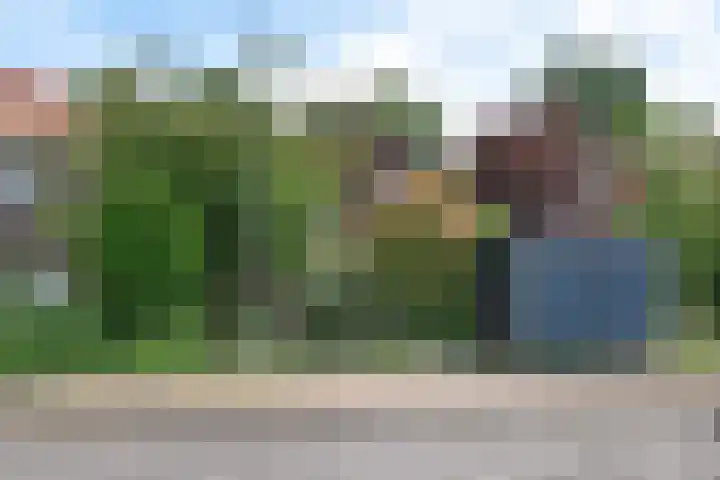 Zuiddijk 411 Zaandam thumbnail 10