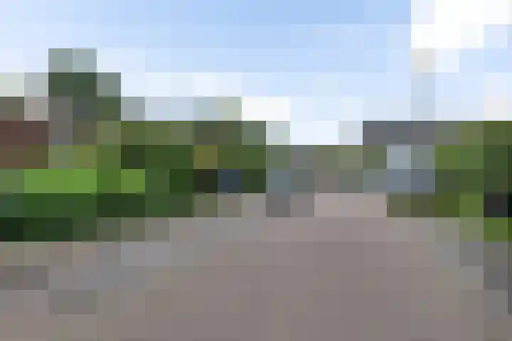 Zuiddijk 411 Zaandam thumbnail 11