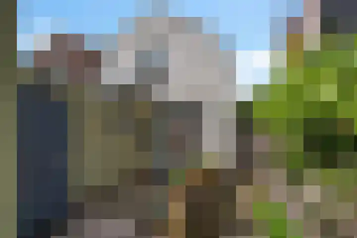 Zuiddijk 411 Zaandam thumbnail 39