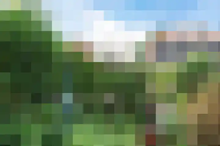 Zuiddijk 411 Zaandam thumbnail 53