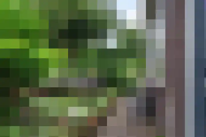 Zuiddijk 411 Zaandam thumbnail 6