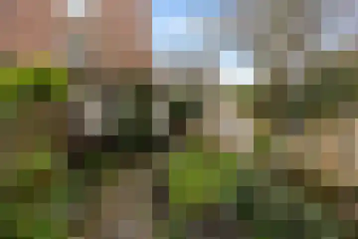Zuiddijk 42 Maassluis thumbnail 30