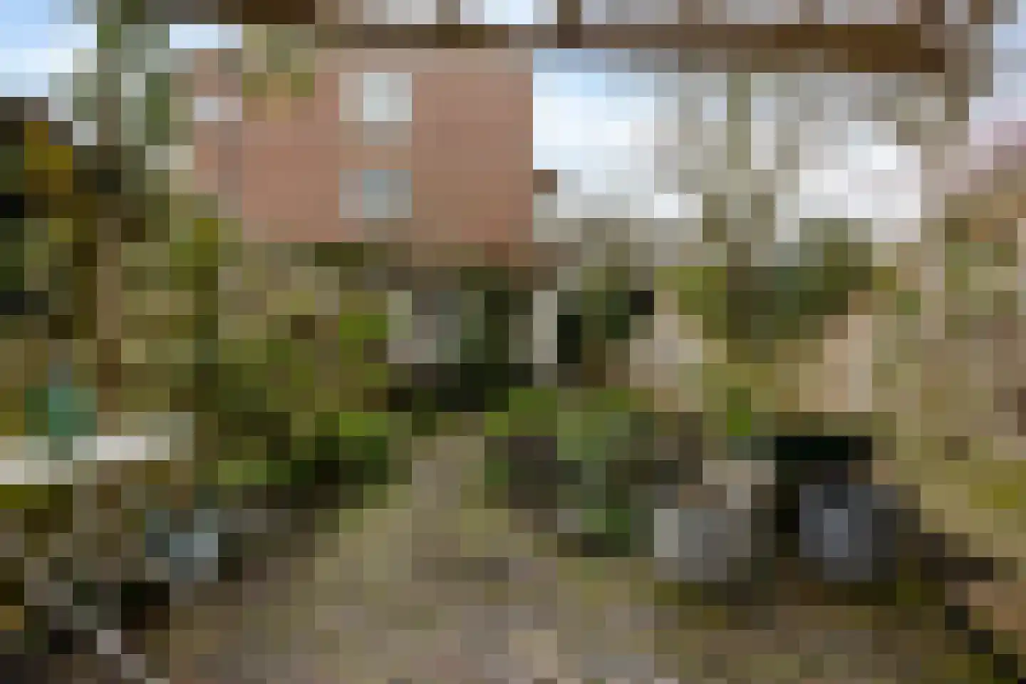 Zuiddijk 42 Maassluis thumbnail 30