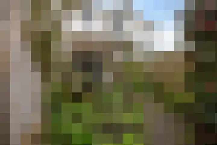 Zuiddijk 42 Maassluis thumbnail 33