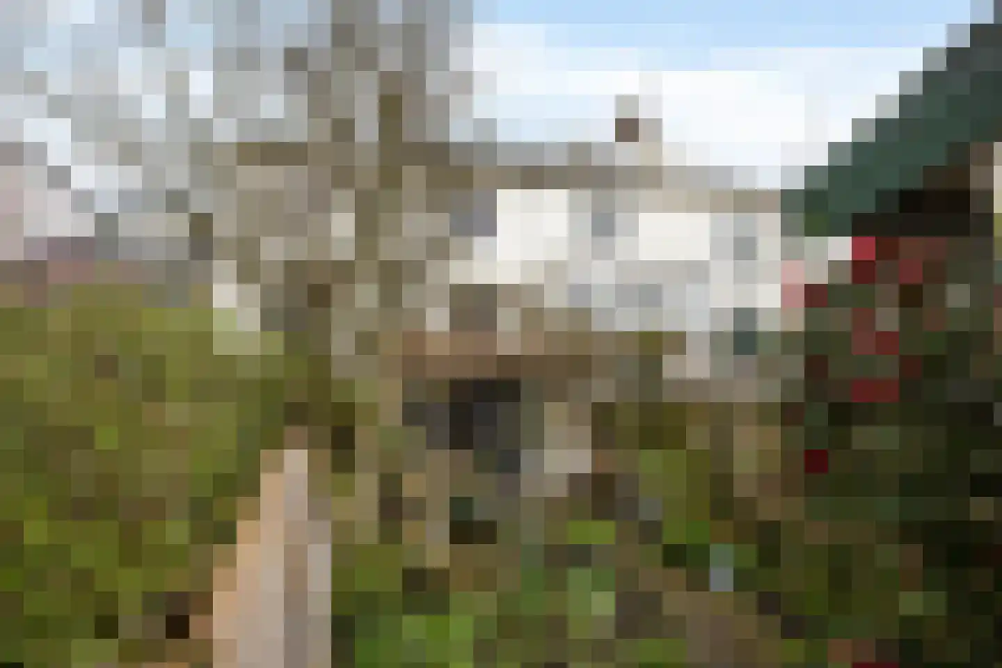 Zuiddijk 42 Maassluis thumbnail 33