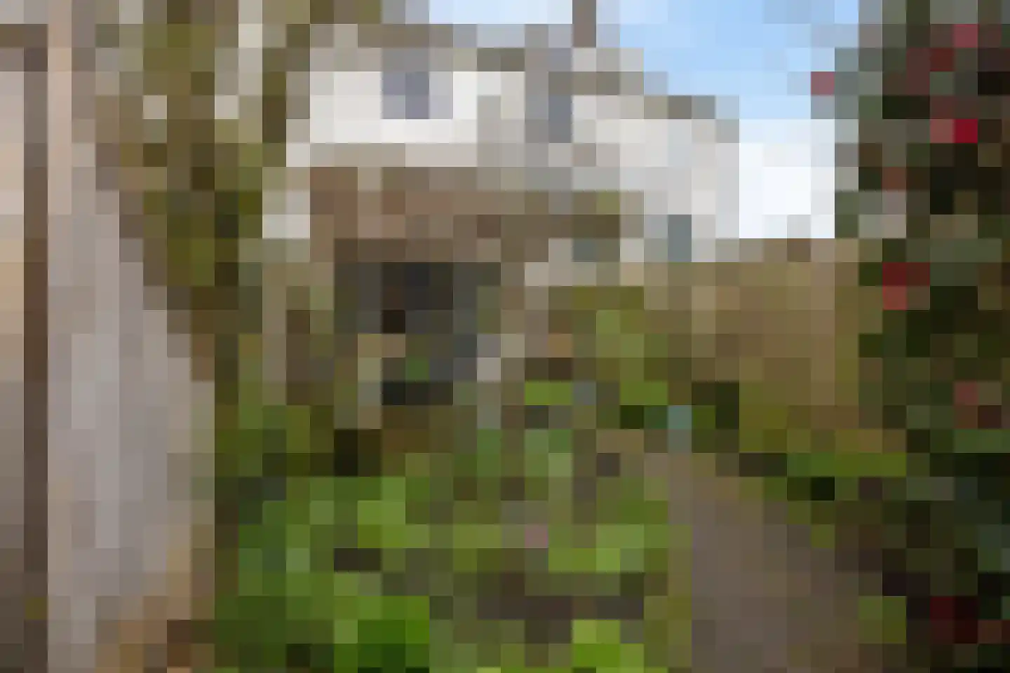 Zuiddijk 42 Maassluis thumbnail 34