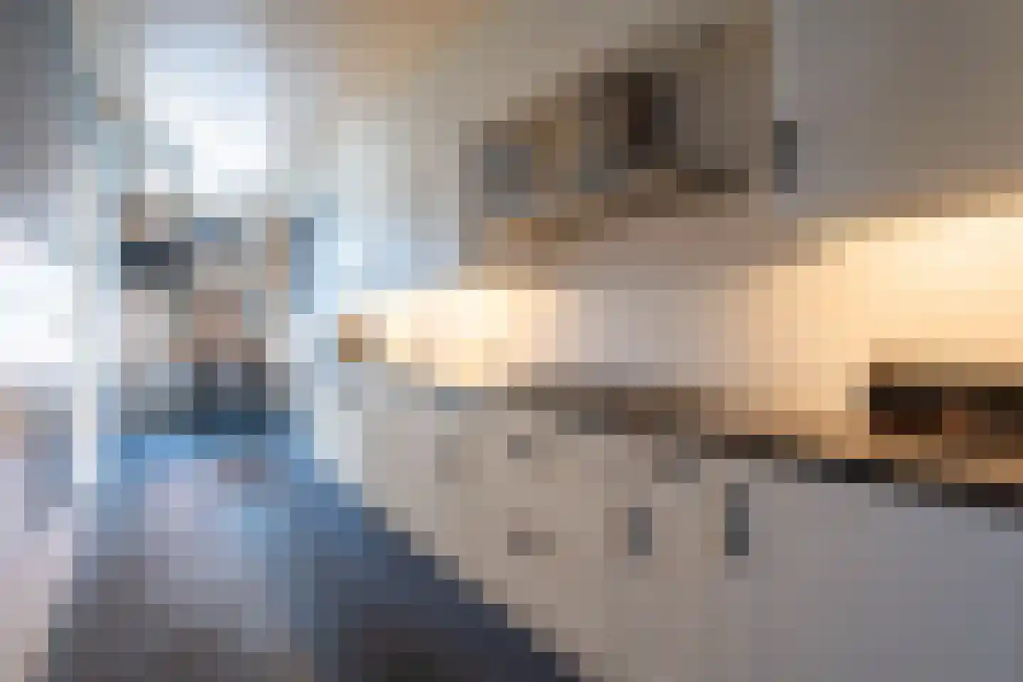 Zuiddijk 44 Langeweg thumbnail 12