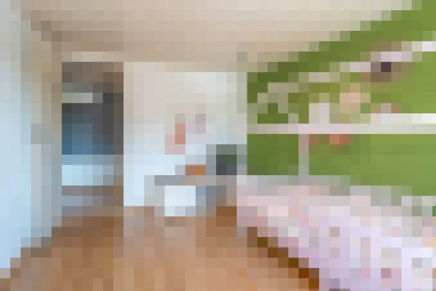 Zuiddijk 44 Langeweg thumbnail 22