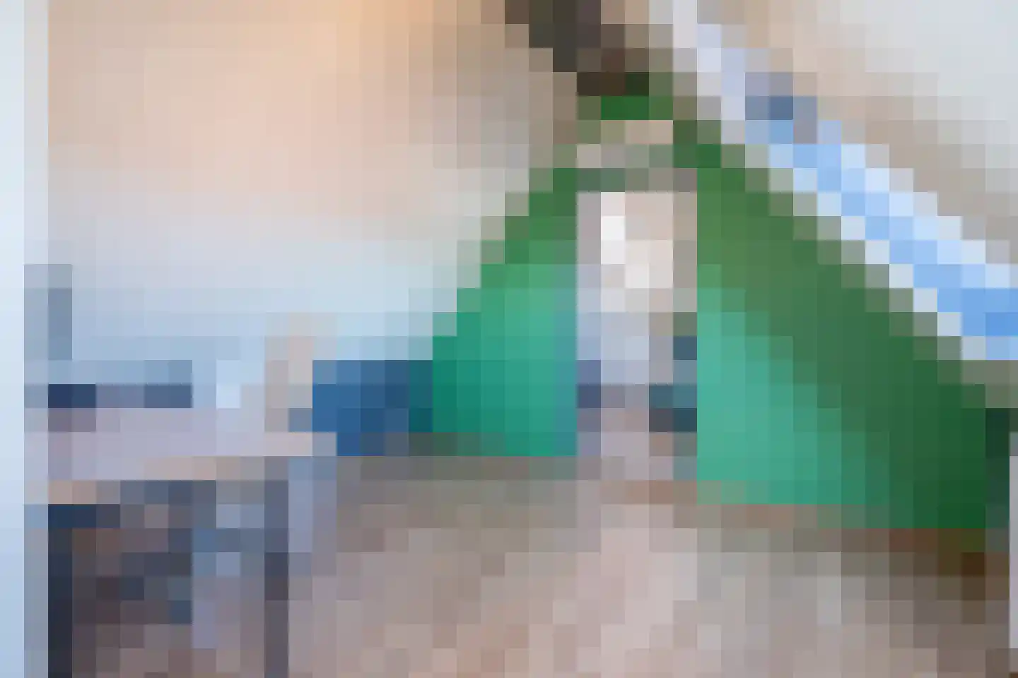 Zuiddijk 44 Langeweg thumbnail 31