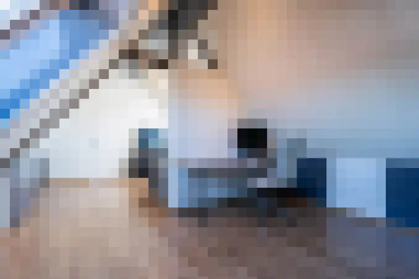 Zuiddijk 44 Langeweg thumbnail 32
