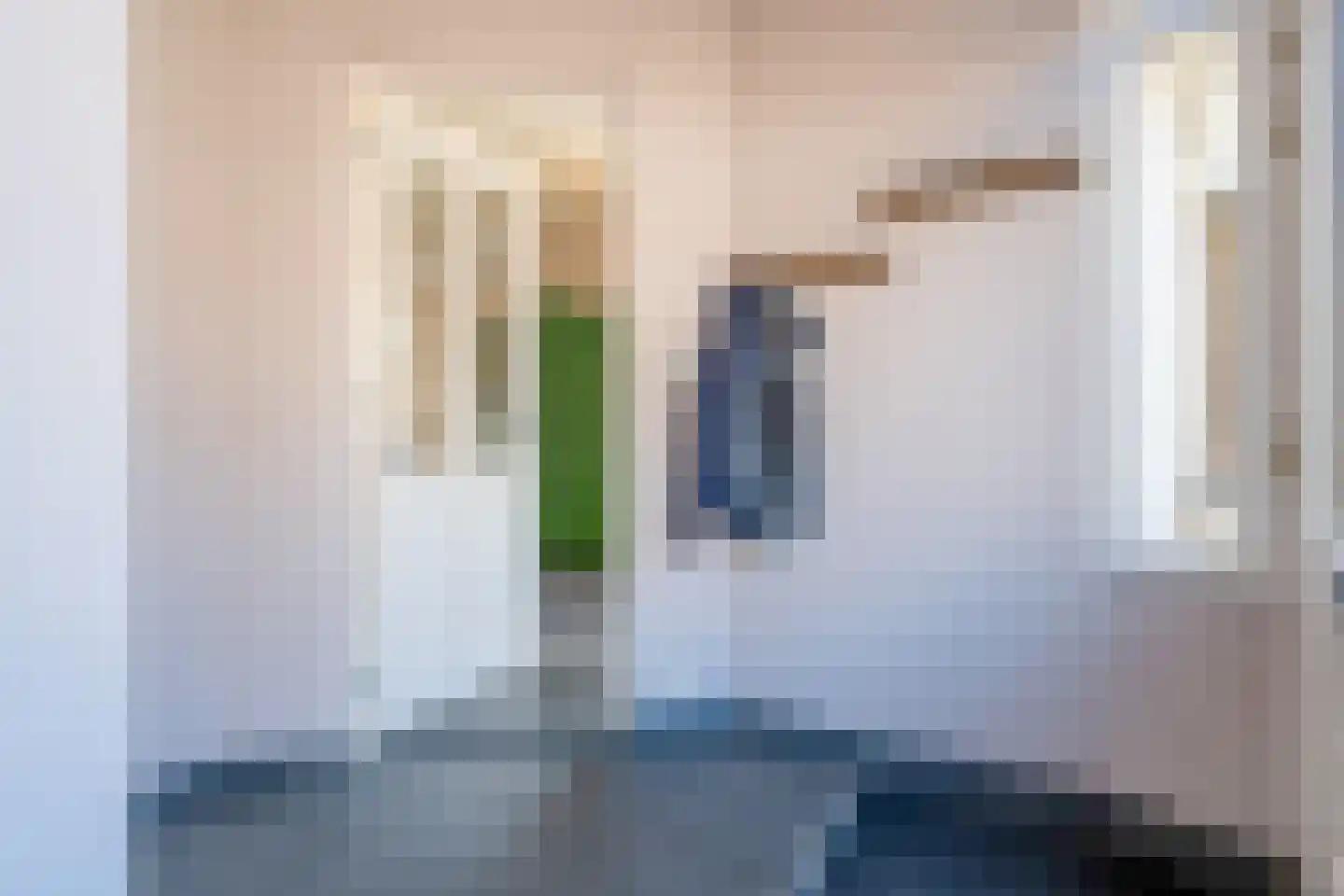 Zuiddijk 44 Langeweg thumbnail 6