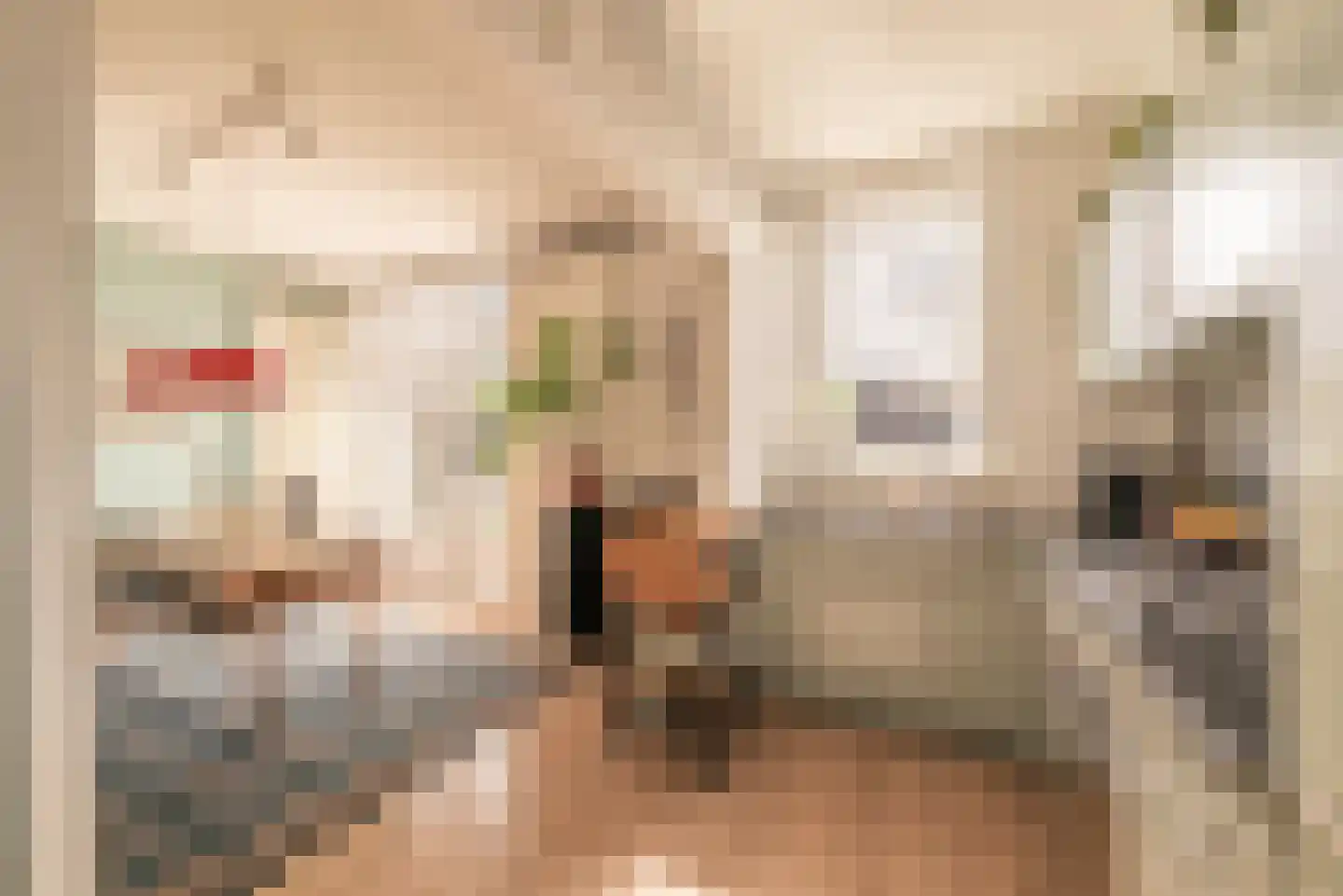 Zuiddijk 46 A Zaandam thumbnail 9