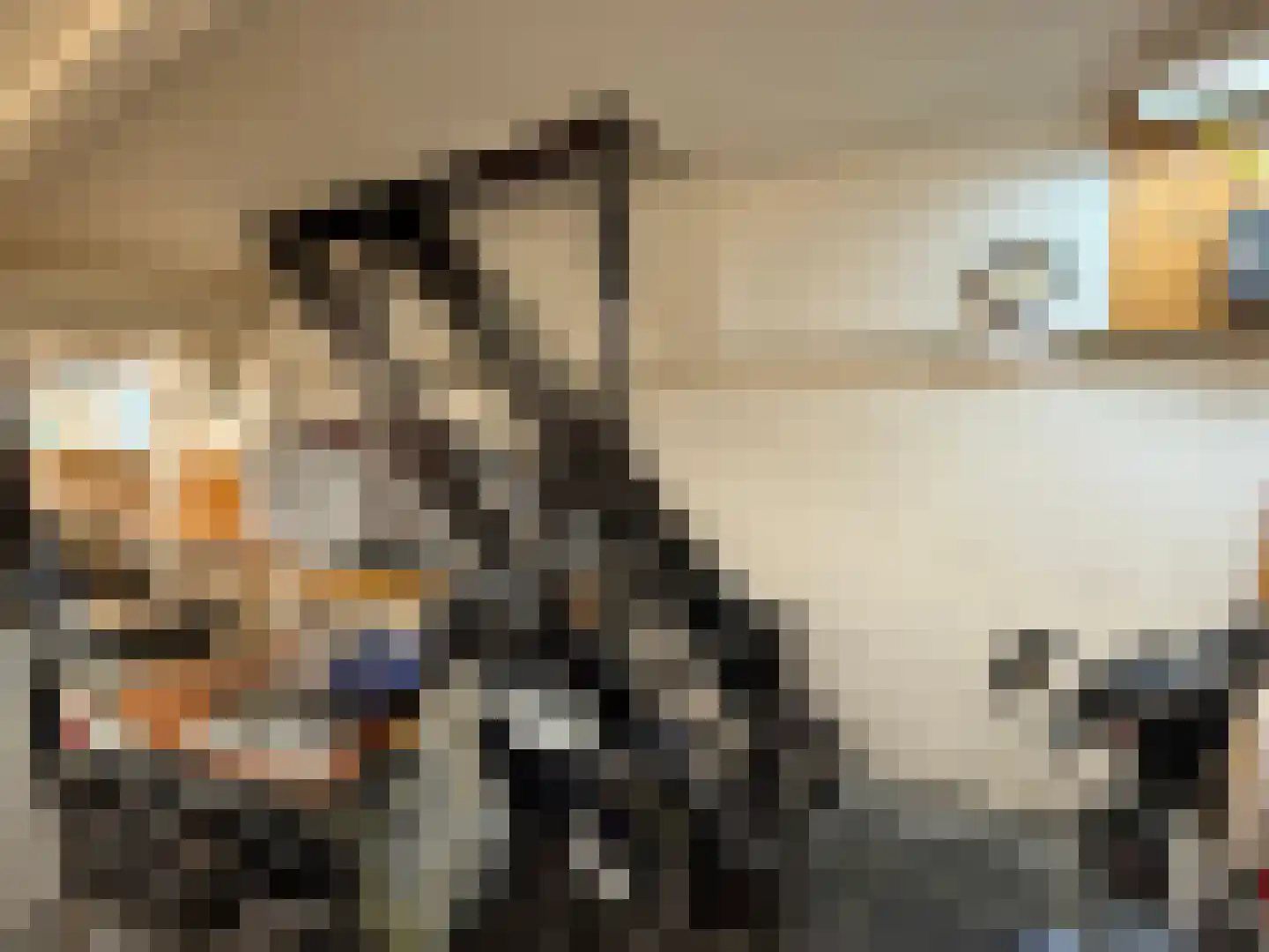 Zuiddijk 47 Zaandam thumbnail 18