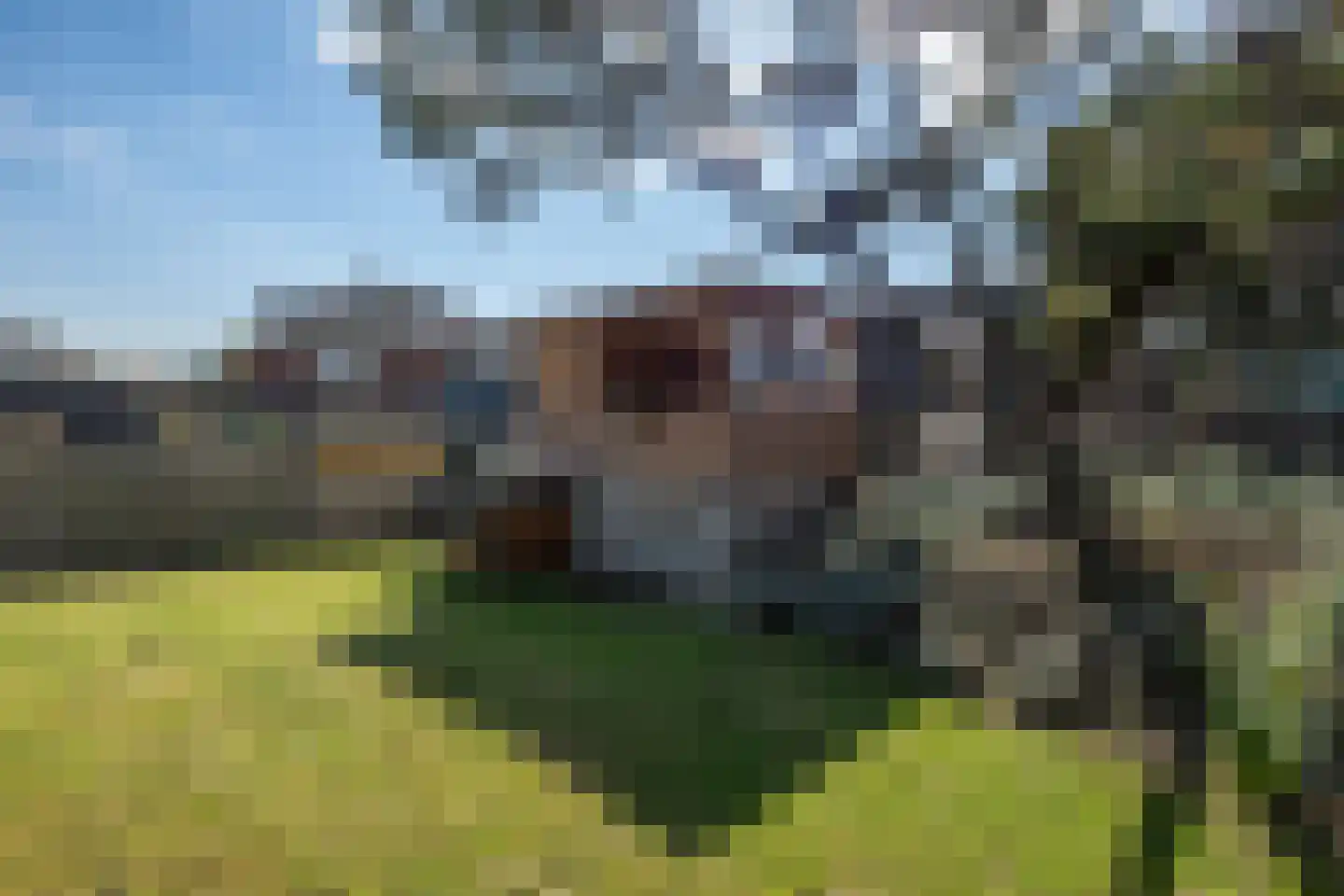 Zuiddijk 49 Oude-Tonge thumbnail 26