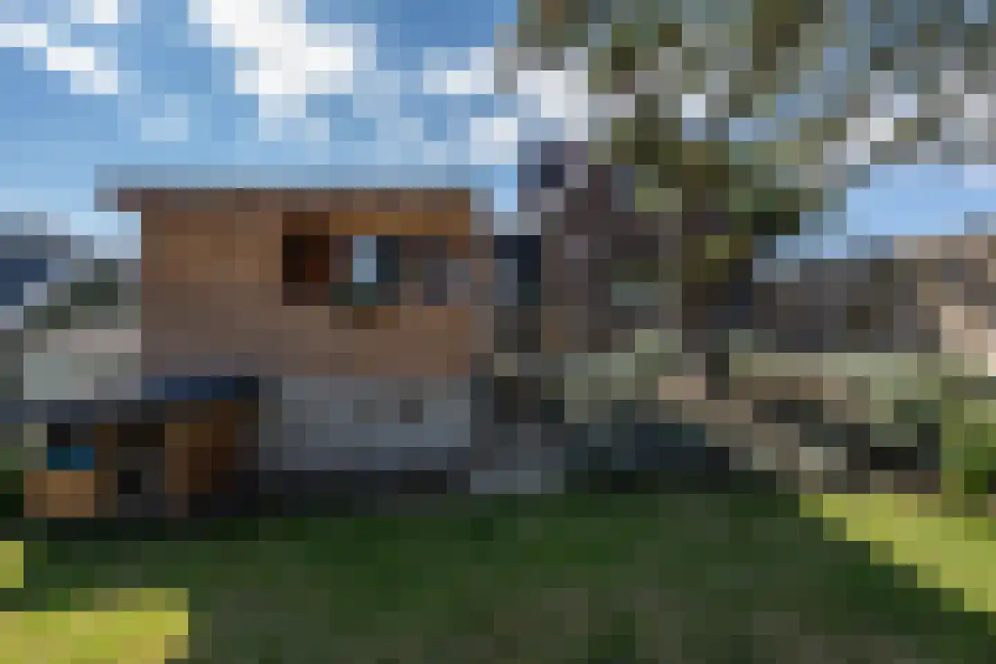 Zuiddijk 49 Oude-Tonge thumbnail 27