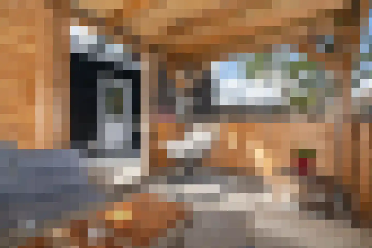 Zuiddijk 49 Oude-Tonge thumbnail 30