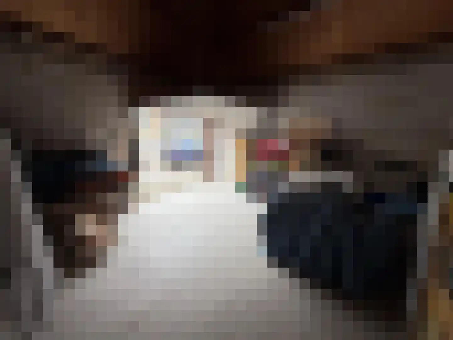 Zuiddijk 5 a Nieuwe-Tonge thumbnail 4