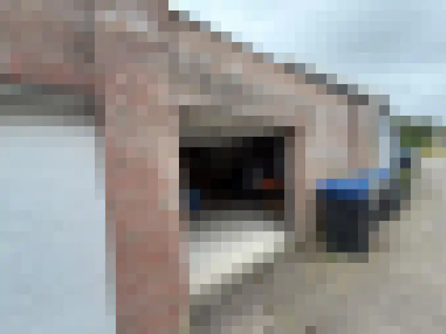 Zuiddijk 5 a Nieuwe-Tonge thumbnail 8