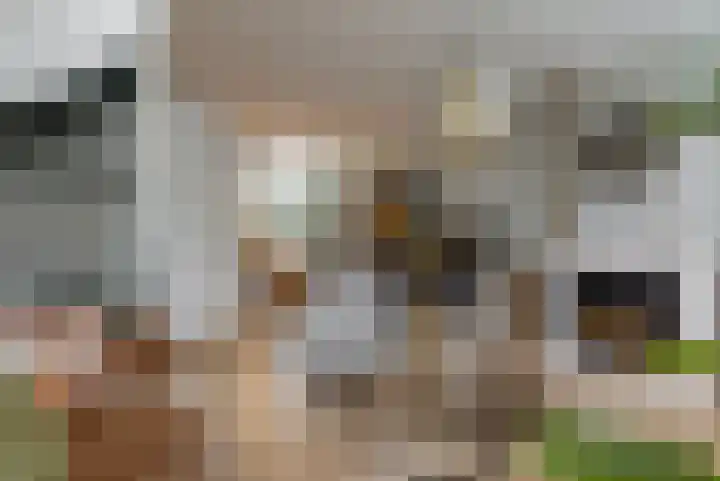 Zuiddijk 5 Maassluis thumbnail 13