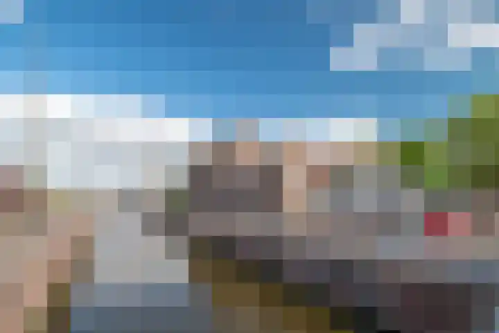 Zuiddijk 6 C Zaandam thumbnail 33
