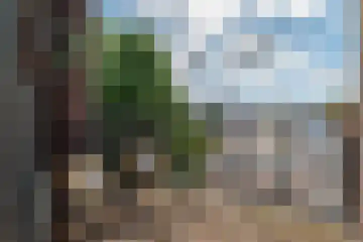 Zuiddijk 6 C Zaandam thumbnail 9
